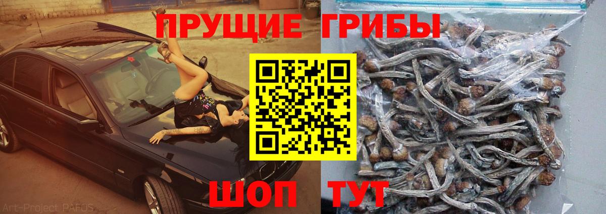 Псилоцибиновые грибы GOLDEN TEACHER  Вход с VPN  Псилоцибиновые грибы Magic Shrooms  закладки  Комсомольск-на-Амуре 